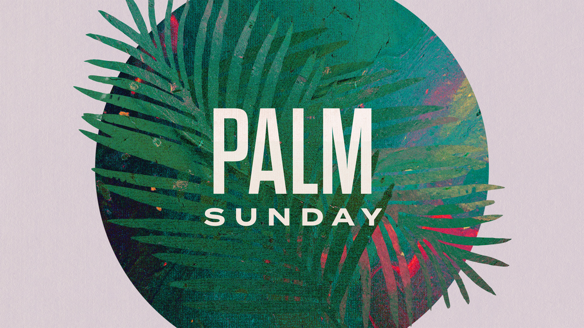 palm sunday title 1 wide 16x9