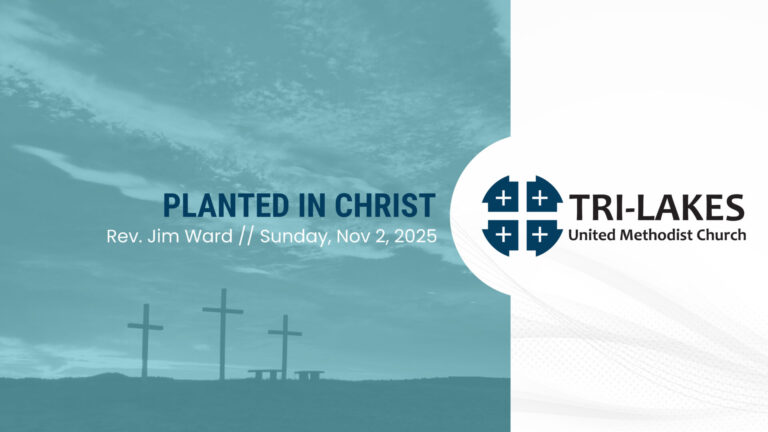 Rooted in Faith: Planted in Christ