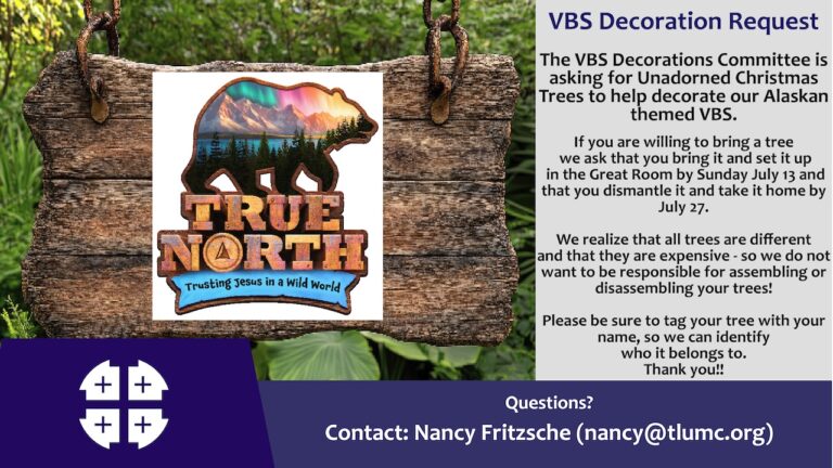 VBS Decorations