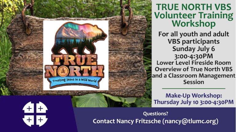 VBS Volunteer Training